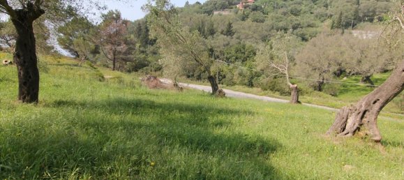 5083m² Hotel in Corfu, Greece No. 5748 4