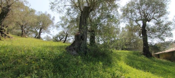 5083m² Hotel in Corfu, Greece No. 5748 8