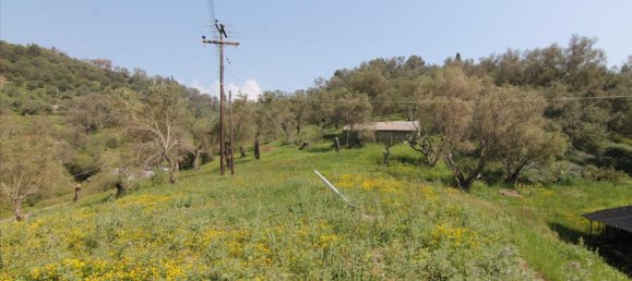 5083m² Hotel in Corfu, Greece No. 5748 2