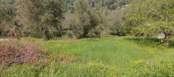 5083m² Hotel in Corfu, Greece No. 5748 10