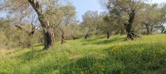 5083m² Hotel in Corfu, Greece No. 5748 9