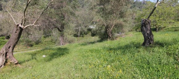 5083m² Hotel in Corfu, Greece No. 5748 6