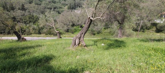 5083m² Hotel in Corfu, Greece No. 5748 5