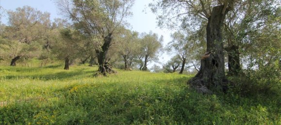 5083m² Hotel in Corfu, Greece No. 5748 7