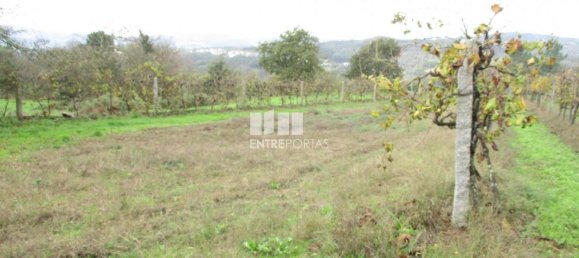 11000m² Land in Marco de Canaveses, Portugal No. 55437 2