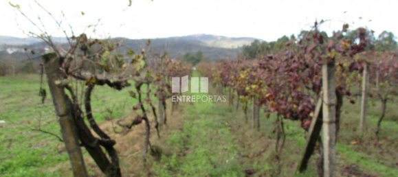 11000m² Land in Marco de Canaveses, Portugal No. 55437 20