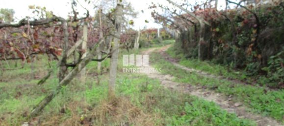 11000m² Land in Marco de Canaveses, Portugal No. 55437 21