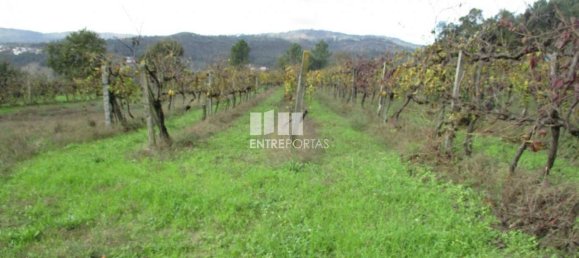 11000m² Land in Marco de Canaveses, Portugal No. 55437 24