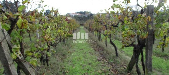 11000m² Land in Marco de Canaveses, Portugal No. 55437 35