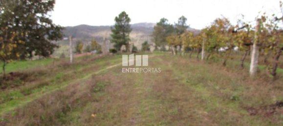 11000m² Land in Marco de Canaveses, Portugal No. 55437 30