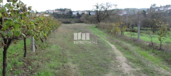11000m² Land in Marco de Canaveses, Portugal No. 55437 33