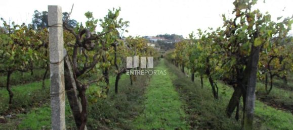 11000m² Land in Marco de Canaveses, Portugal No. 55437 39