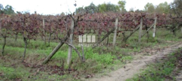 11000m² Land in Marco de Canaveses, Portugal No. 55437 19