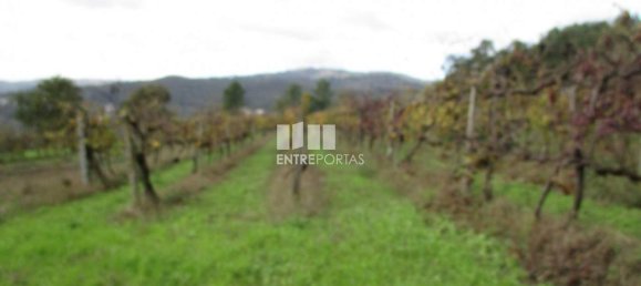 11000m² Land in Marco de Canaveses, Portugal No. 55437 27