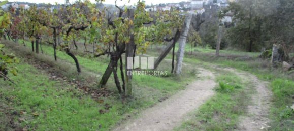 11000m² Land in Marco de Canaveses, Portugal No. 55437 36