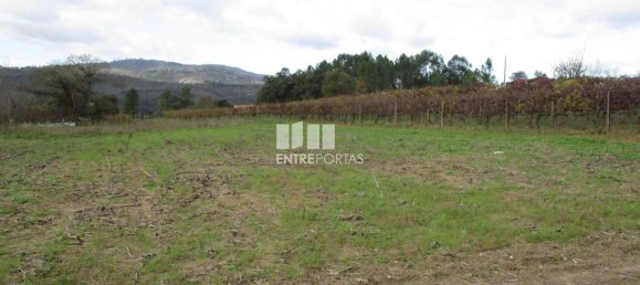 11000m² Land in Marco de Canaveses, Portugal No. 55437 13