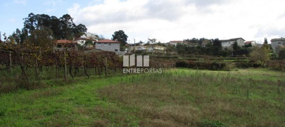 11000m² Land in Marco de Canaveses, Portugal No. 55437 6