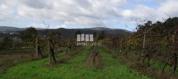 11000m² Land in Marco de Canaveses, Portugal No. 55437 25