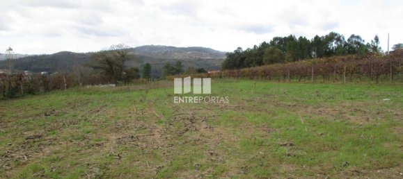 11000m² Land in Marco de Canaveses, Portugal No. 55437 9