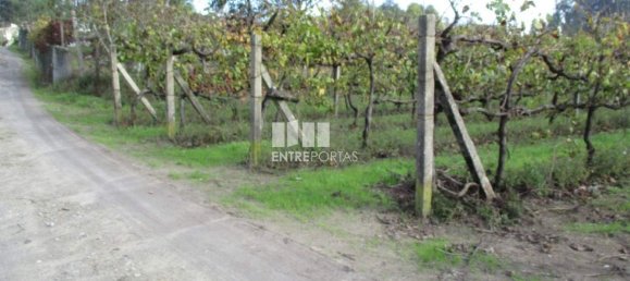 11000m² Land in Marco de Canaveses, Portugal No. 55437 40