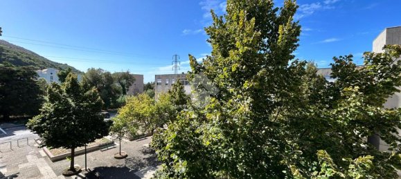 1 Schlafzimmer Wohnung in Salerno, Italy, Nr. 346158 13