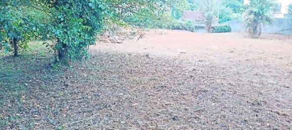 4 غرف نوم منزل في Fene, Spain رقم 60164 28