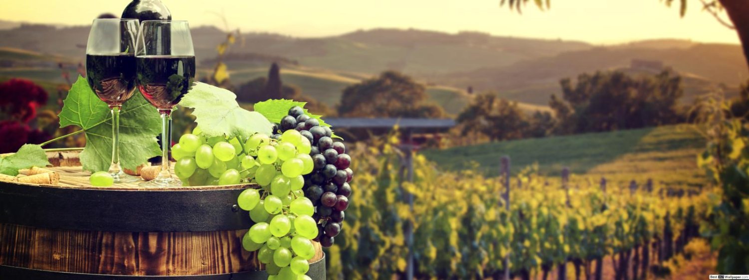 80000m² Commercial property in Murcia, Spain No. 1024