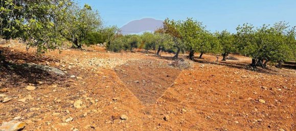 Terreno en Faro, Portugal 13290 m² No. 63115 16