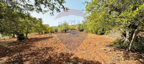 Terreno en Faro, Portugal 13290 m² No. 63115 11