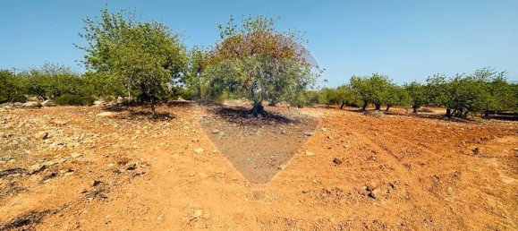 Terreno en Faro, Portugal 13290 m² No. 63115 8