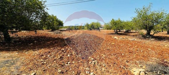Terreno en Faro, Portugal 13290 m² No. 63115 17