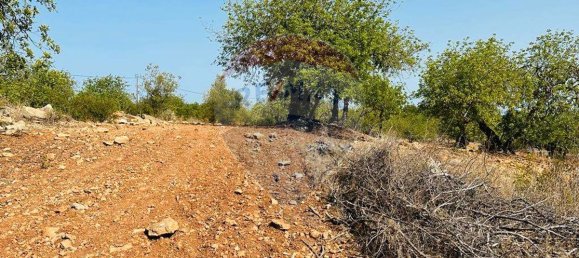 Terreno en Faro, Portugal 13290 m² No. 63115 13