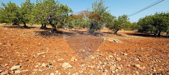 Terreno en Faro, Portugal 13290 m² No. 63115 21