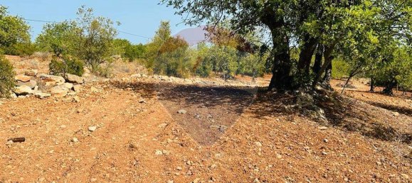 Terreno en Faro, Portugal 13290 m² No. 63115 14