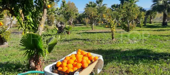 6 bedrooms Villa in Alhaurin de la Torre, Spain No. 187695 10