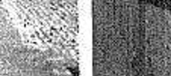 154m² Commercial property in Borgo Valbelluna, Italy No. 298904 13