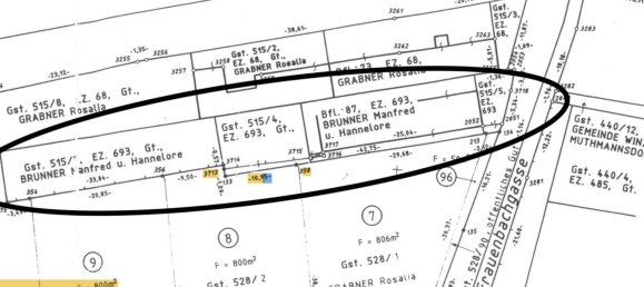 Land in Winzendorf-Muthmannsdorf, Austria No. 202528 2