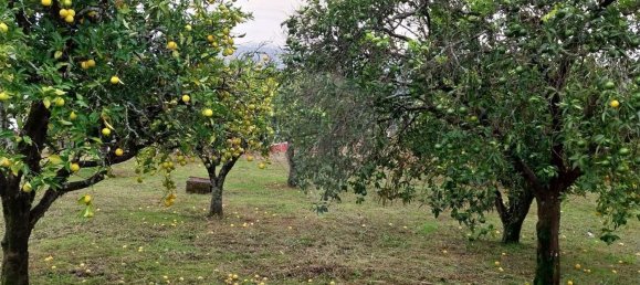 2 Schlafzimmer Haus in Serta, Portugal, Nr. 36869 12