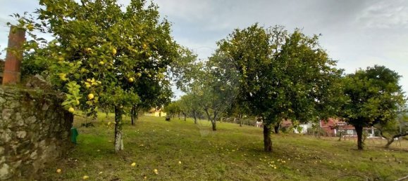 2 Schlafzimmer Haus in Serta, Portugal, Nr. 36869 4