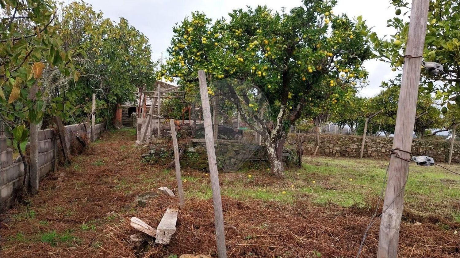 2 Schlafzimmer Haus in Serta, Portugal, Nr. 36869