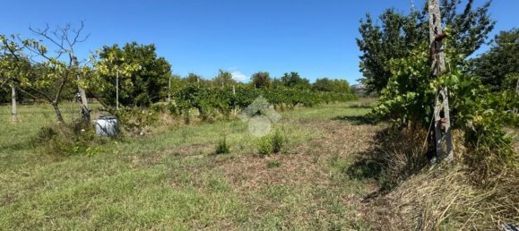 4غرفة شقة في Assisi, Italy رقم 277904 20