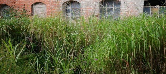 8 rooms House in Coburg, Germany No. 328277 11