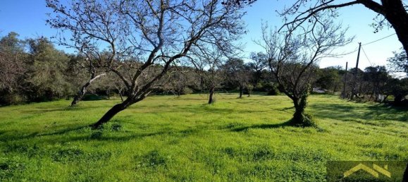 Grundstück in Loule, Portugal 99m², Nr. 9293 2