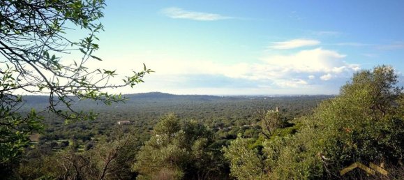 Grundstück in Loule, Portugal 99m², Nr. 9293 3