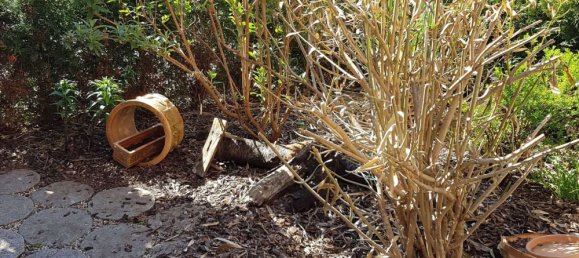 Apartamento de 1 dormitorio en Rhein-Neckar-Kreis, Germany No. 364874 3