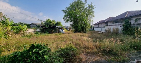 1784m² Commercial property in Bang Lamung, Thailand No. 11847 11