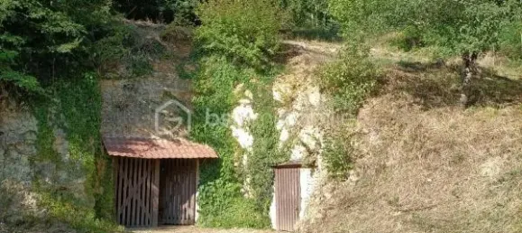 Terrain à Chemillé-sur-Dême, France 865m² No. 346210 5