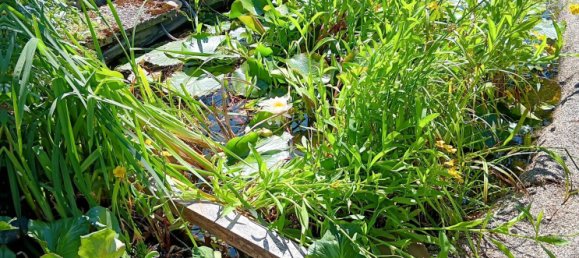 2 bedrooms Bungalow in Hof, Germany No. 119688 11