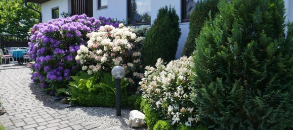 2 bedrooms Bungalow in Hof, Germany No. 119688 3