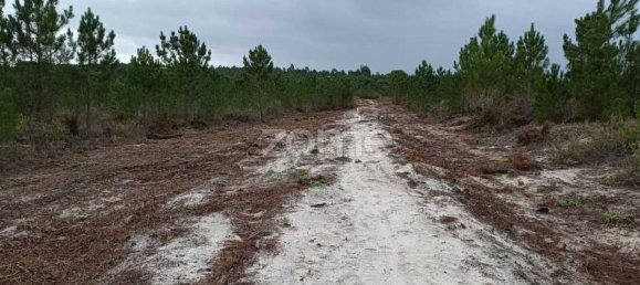 Terrain à Grandola, Portugal No. 44297 2